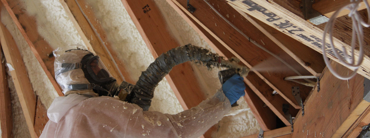 Calgary Alberta Attic Insulation Spray Foam
